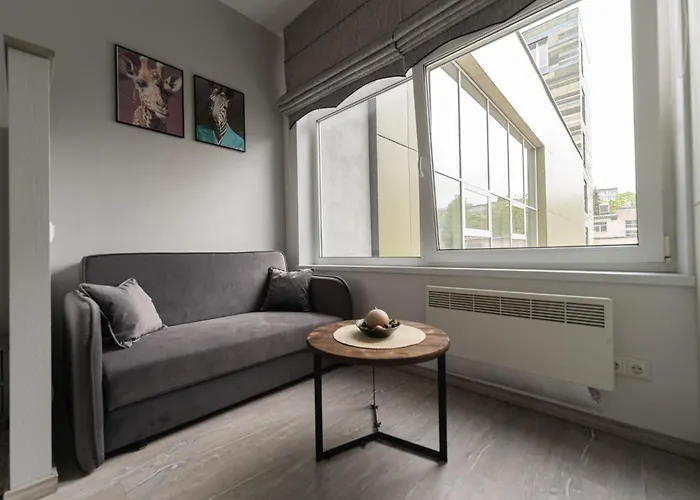 Cozy And Modern City Loft Residence Next To The Old Town