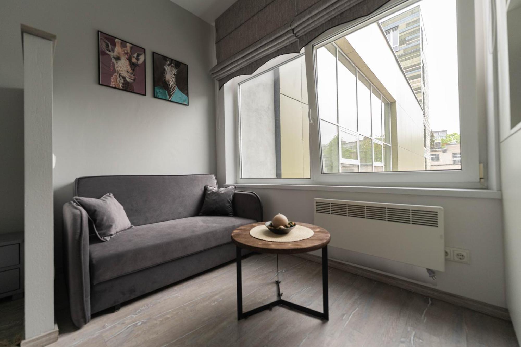 Apartment Cozy And Modern Loft Next To The Old Town Vilnius